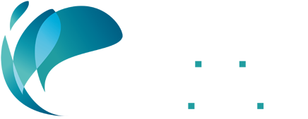 LEGIRISC